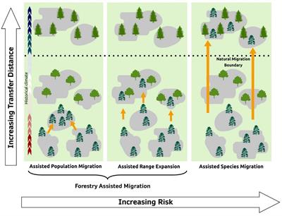 A practical framework for applied forestry assisted migration